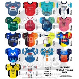 Stickers World Teams 2024