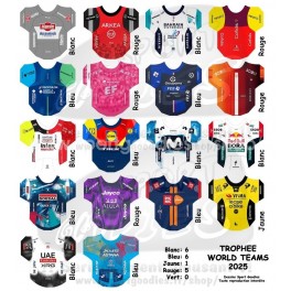 Sticker per squadre World Teams 2024