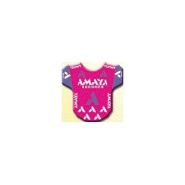 1991 - 3 cyclistes- Equipe au choix