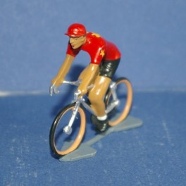 Chinese team cyclist