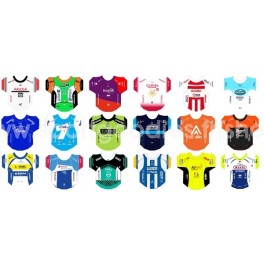 Stickers Equipes Continentales 2019 Stickers Equipes Continentales 2019