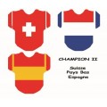 Maillots de Champions Nationaux 2