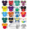 Pro Teams 2022 jerseys stickers