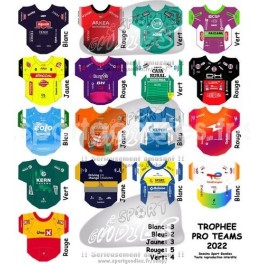Sticker per squadre Pro Teams 2022