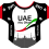 2017 - Set of 3 cyclists - Select your team UAE Team Emirates