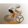 Ciclista posizione a cronometro - Con Pintura