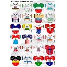 National Champs 2024 jerseys stickers